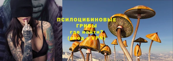 PSILOCYBIN Нефтекумск