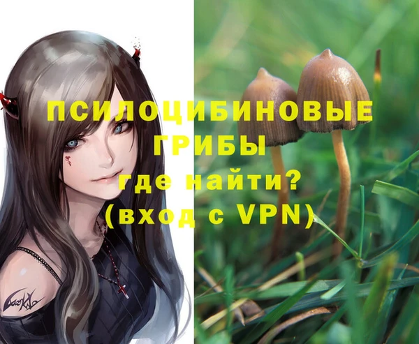 гидра Нефтегорск