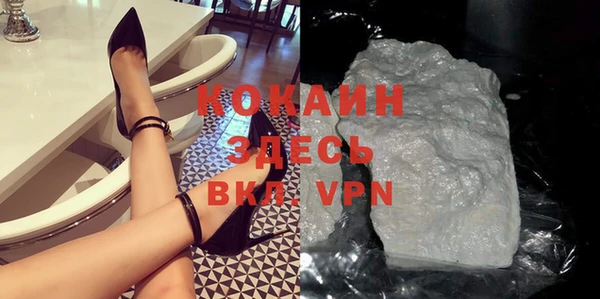 шишки Нея