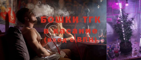гидра Елабуга