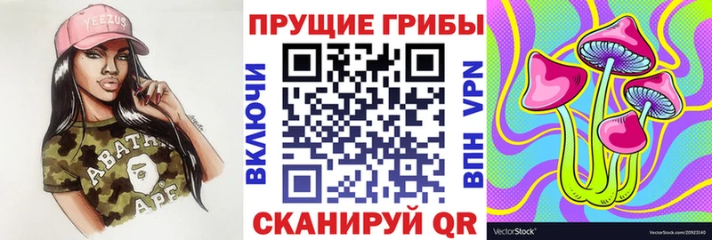 Псилоцибиновые грибы MAGIC MUSHROOMS  darknet телеграм  Котельники 
