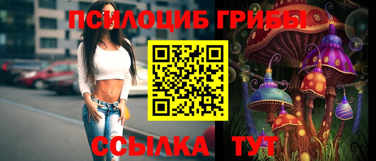 Галлюциногенные грибы GOLDEN TEACHER  Вход с VPN  Котельники  Псилоцибиновые грибы прущие грибы 